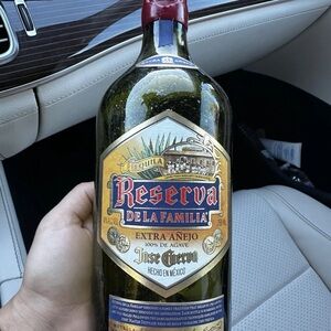 Reptile Habitat Ornament - Olive Green